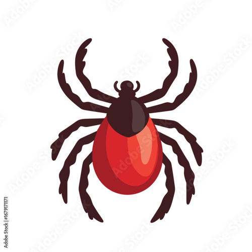 Illustration of a red tick with detailed features on a white background  