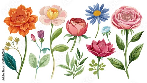 Vector art of watercolor floral element set for decoration, invitation, greeting card and botanical design with leaf and flower