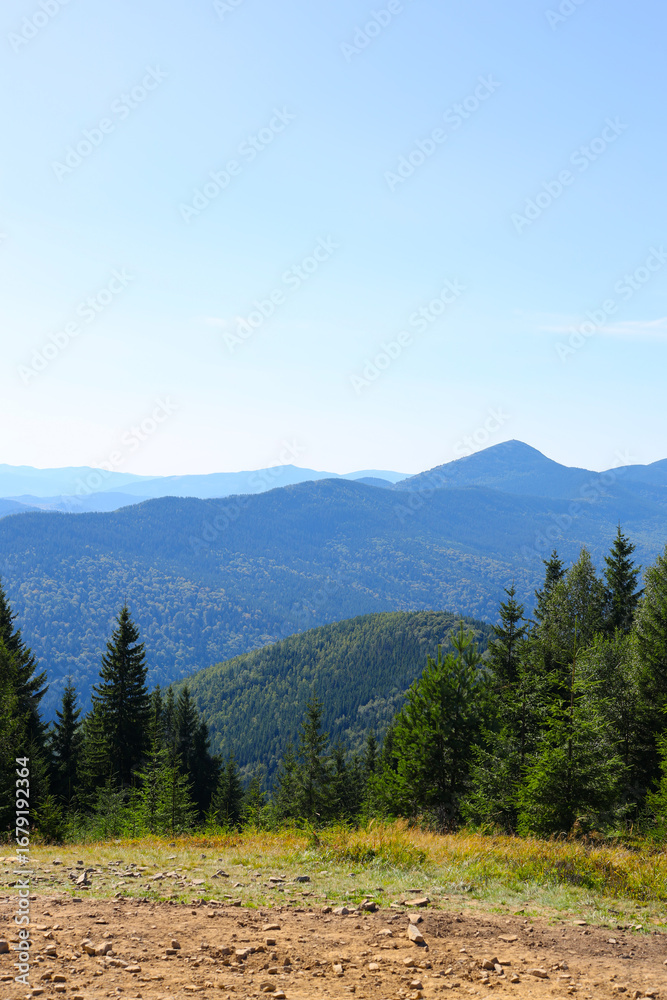 Fototapeta premium Majestic mountain range with lush forest and clear blue sky