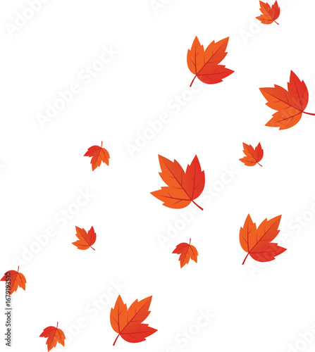 autumn leaves vector illustration