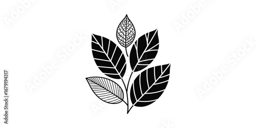 Elegant Black and White Botanical Illustration: Stylized Leaves Branch Design, Minimalist Nature Graphic