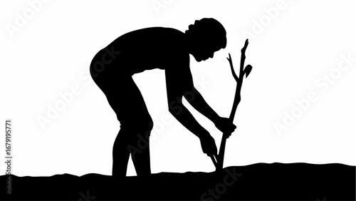 Silhouette of a person planting a tree sapling in the ground with bent posture on a white background view