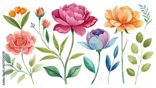 Vector art of watercolor floral set, perfect for creating beautiful designs such as invitations, cards, and other creative projects