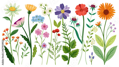 Vector art of a vibrant floral set featuring a variety of colorful flowers, leaves, and branches, ideal for spring and summer designs and decorations
