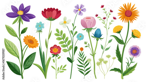 Vector art of a colorful collection of various flowers and plants, perfect for adding a touch of nature and beauty to any design