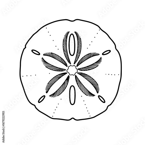 Detailed Black and White Sand Dollar Illustration with Distinctive Petal Markings