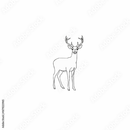 Simple Line Drawing of a Majestic Deer