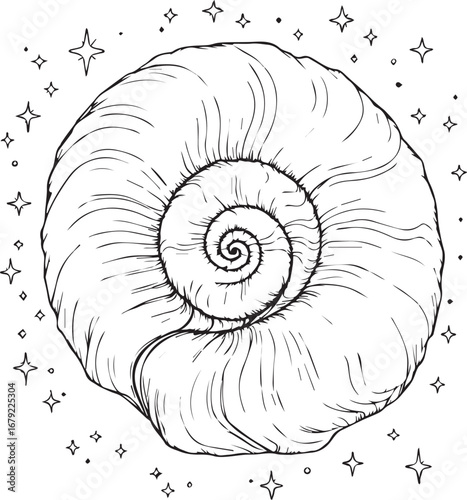 “The Shell That Remembered the Sky” (or) “Spiral of Stars, Fossil of Feeling”