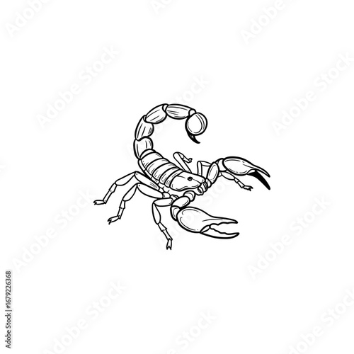 Detailed Black and White Illustration of a Scorpion with Curved Tail