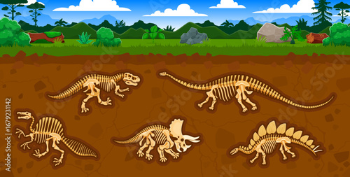 Archeology and paleontology science, dinosaur fossils in soil layers. Paleontology vector concept with tyrannosaur, ouranosaurus, triceratops, dravidosaurus and brontosaurus dinosaurs skeleton bones