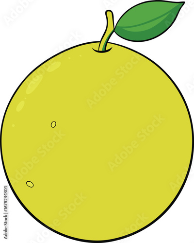 Golden Lime Citrus Fruit on Transparent Background