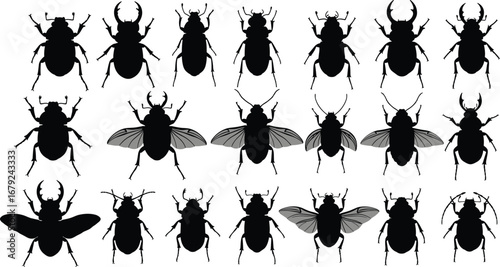 Beetle silhouettes, insect vector set, stag beetle outline, flying beetle clipart, scarab beetle shape, bug illustration, beetle wings, beetle shadow designs