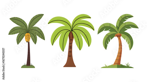 banana tree vector illustration