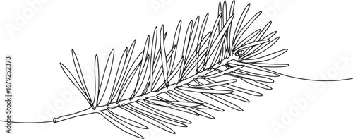 Elegant minimalist line art of an Austrian pine needle branch il
