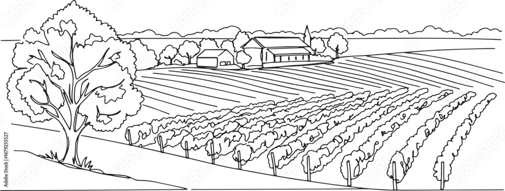Fototapeta premium Detailed line art illustration of a vineyard landscape with farm