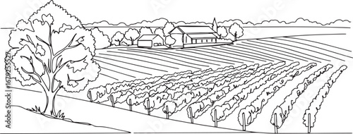 Detailed line art illustration of a vineyard landscape with farm