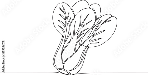 Elegant Bok Choy: Minimalist Continuous Line Art for Culinary Pr