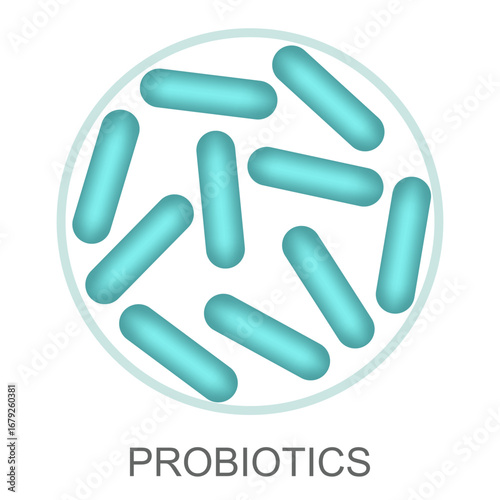 Probiotics, microbiome flora, lactobacillus bacteria in circle.