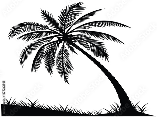 palm tree silhouette