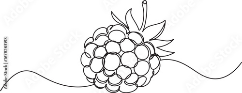 Single line drawing of dewberry fruit on white canvas minimal de