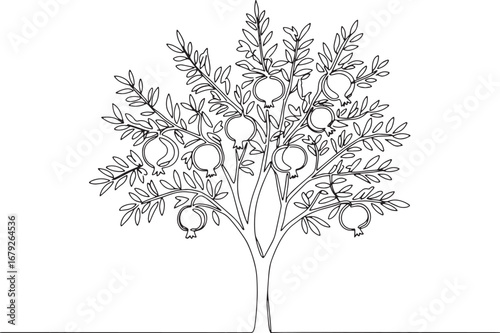 Elegant Pomegranate Tree in Single Line Art Style Minimalist and