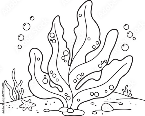 Seaweed marine underwater life coloring page with bubbles illust
