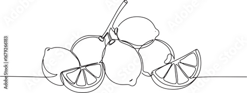 Minimalist Continuous Line Drawing of Fresh Lemons on a White Ba