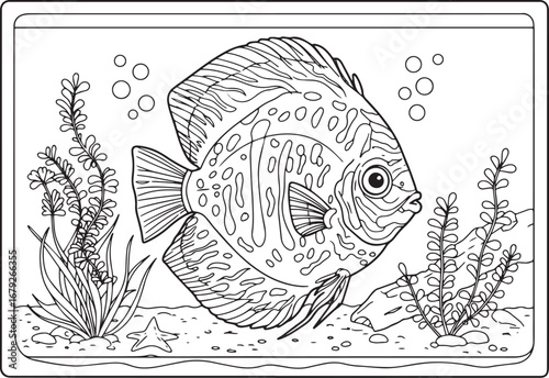 Detailed line art illustration of a discus fish in an aquarium f