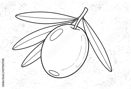 Intricate Olive Branch Outline on Ornamental Olive Fruit Backgro