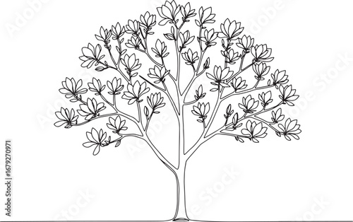 Elegant simplicity: A minimalist magnolia tree line drawing for