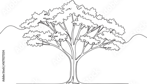 Elegant ironwood tree illustration in continuous line art minima