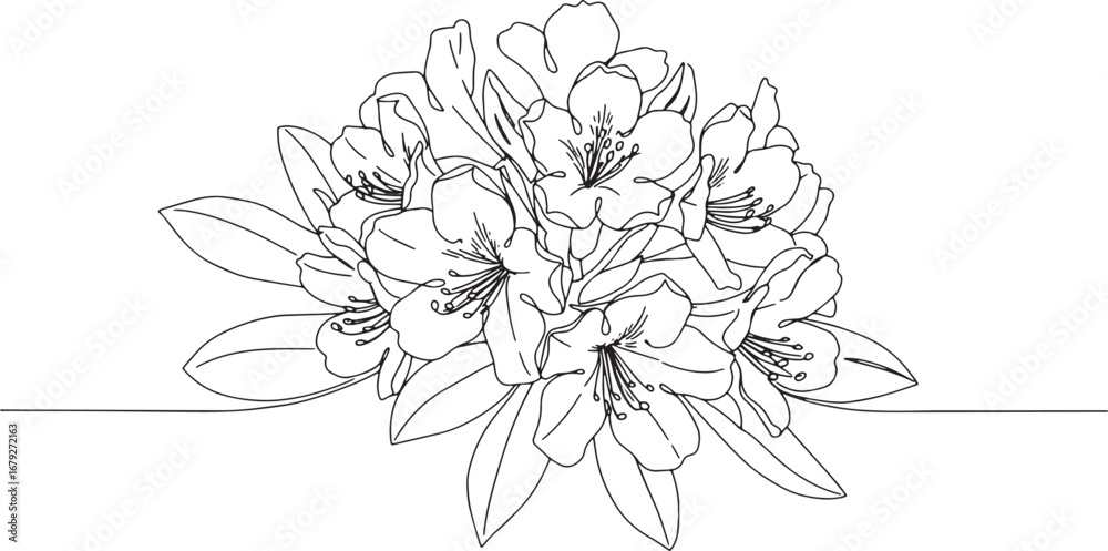 Fototapeta premium Elegant Rhododendron Flower Cluster in Minimalist Line Art Illus