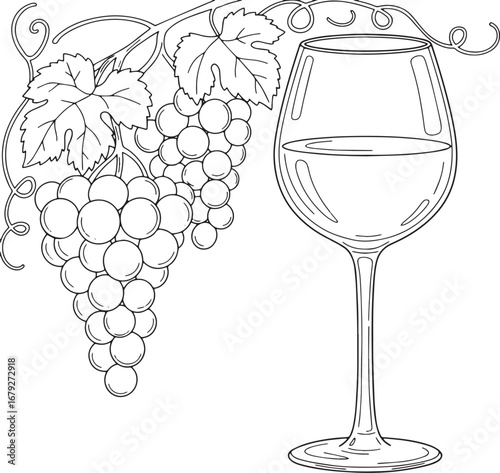 Elegant line art illustration of wine glass and grapes for color