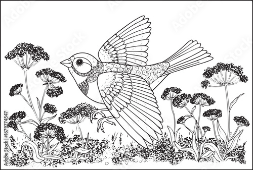 Intricate line art illustration of a bird in flight over detaile
