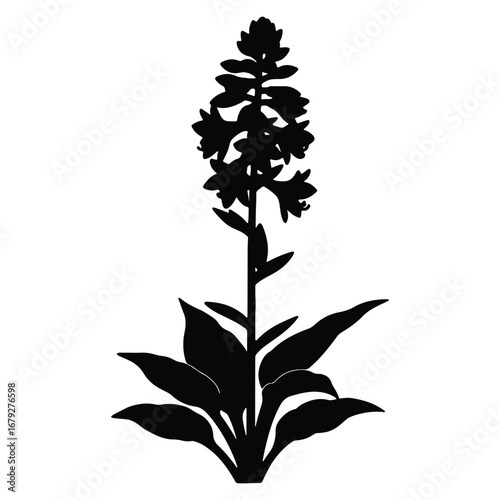 Elegant black silhouette of a flowering plant against a white background design element botanical illustration floral shape organic pattern vector illustration
