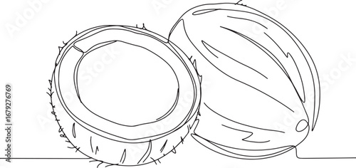 Minimalist Coconut Illustration Depicting Tropical Fruit in Blac