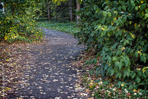 footpath in the park