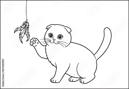 Adorable scottish fold kitten playing with a feather toy, line a