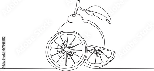 Elegant Bergamot Citrus Fruit Line Art Illustration for Culinary
