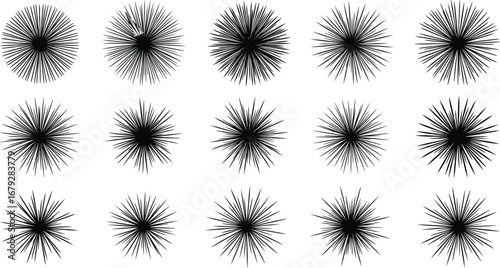 Abstract radial line pattern, geometric starburst design, black and white optical art, symmetrical spiky shape, modern minimal graphic background, vector illustration