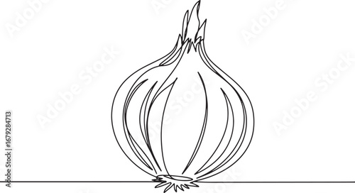 Minimalist line drawing of an onion, simple culinary illustratio