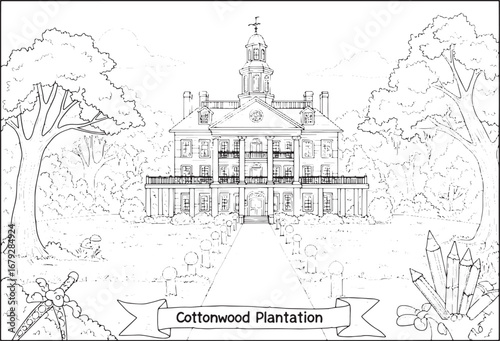 Detailed Cottonwood Plantation Illustration for Coloring and Cre