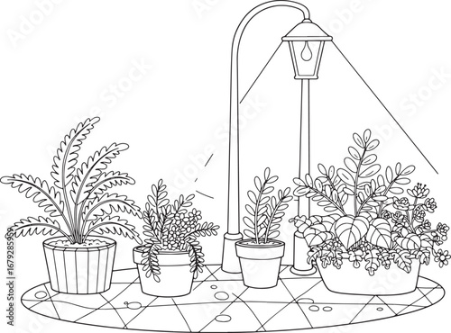Elegant line art illustration of potted plants under a vintage s