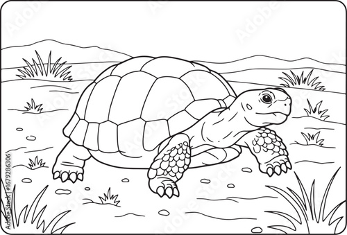 Black and white line art illustration of a tortoise in a natural