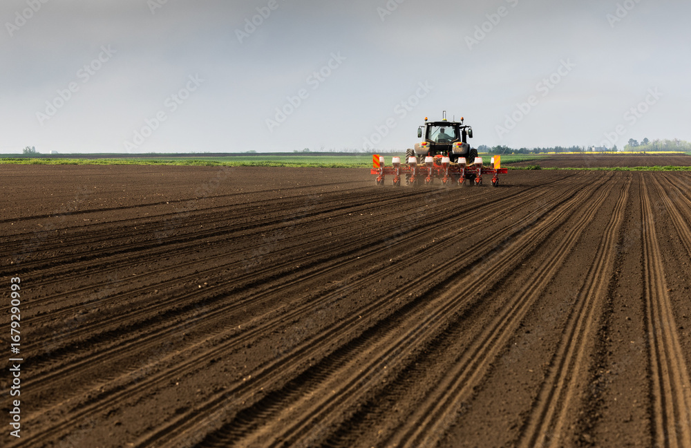 Obraz premium Tractor and seeder for sowing corn