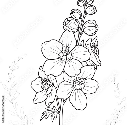 Elegant Delphinium Flower Line Art Illustration for Coloring Pag
