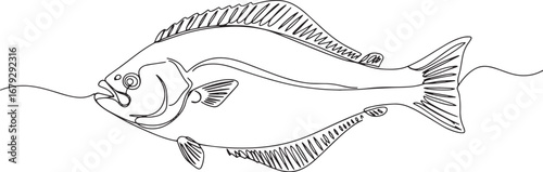 Elegant single line drawing of a halibut, minimalist culinary ar