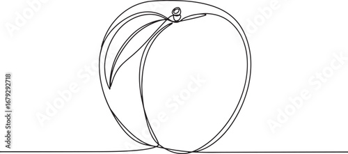 Nectarine fruit continuous line art, minimalist design, simple o