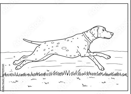 A Running Dalmatian Dog Coloring Page Isolated on White Backgrou