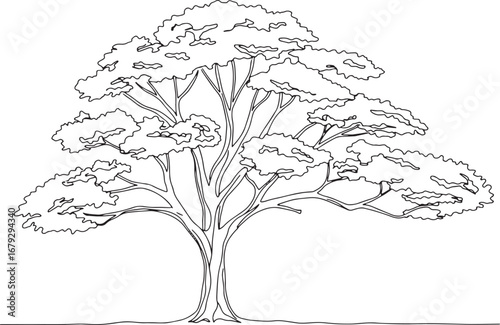 Elegant minimalist line drawing of a large tree with full foliag